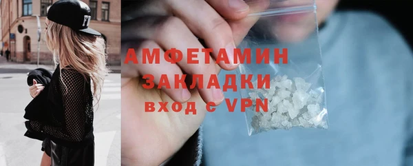 прущие грибы Гусиноозёрск